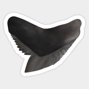 Tiger Shark Tooth Sticker